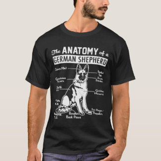 Camiseta Os irmãos avett, o carpinteiro