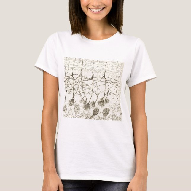 Camiseta Os neurônios 8 de Cajal (Frente)