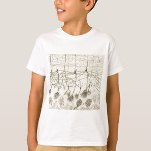 Camiseta Os neurônios 8 de Cajal