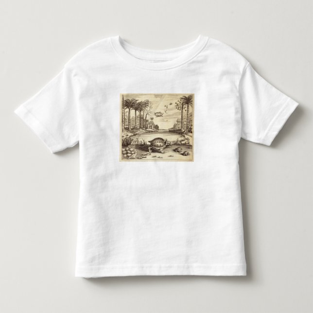Camiseta Os ovos da tartaruga que chocam, de "China (Frente)