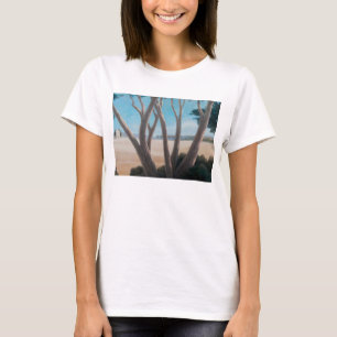 Camiseta Os pinhos aproximam Pienza 2012