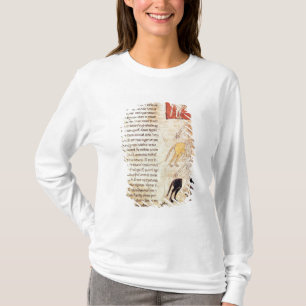 Camiseta Os quatro cavaleiro do apocalipse