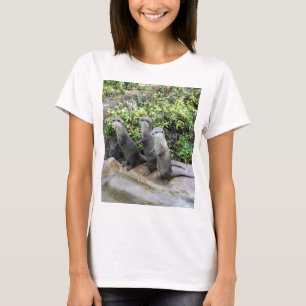 Camiseta Os Sábios De Pé,