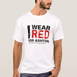 CAMISETA OS SEGUIDORES DE ASHTON