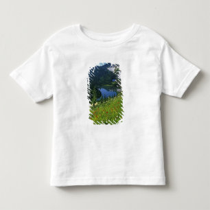 Camiseta Os Wildflower alpinos na bacia de Jewel, na