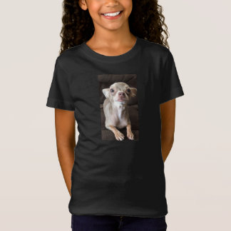 Camiseta Oscar o t-shirt/camisola azuis da chihuahua