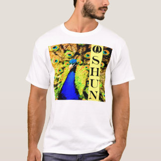 Camiseta Oshun