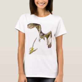 Camiseta Osprey Chegando Em Você