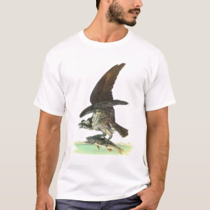 Camiseta Osprey por John James Audubon