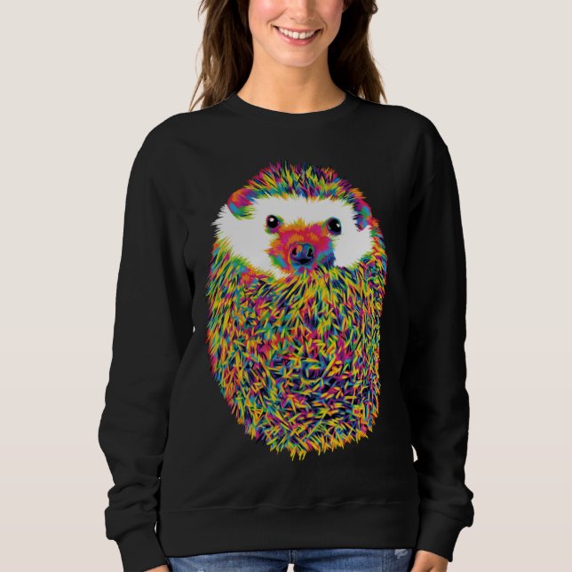 Camiseta ouriço arco-íris fofo (Frente)