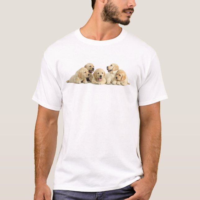 Camiseta Ouro Labrador Puppie (Frente)