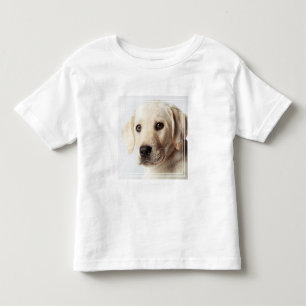Camiseta Ouro Labrador Puppy