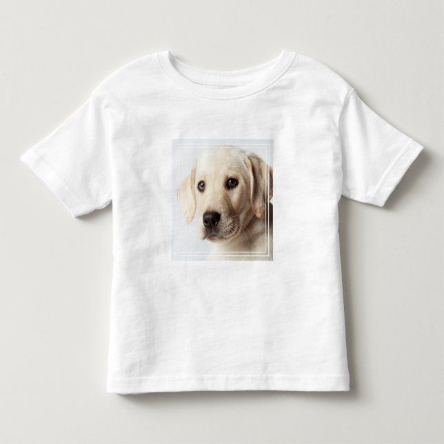 Camiseta Ouro Labrador Puppy (Frente)