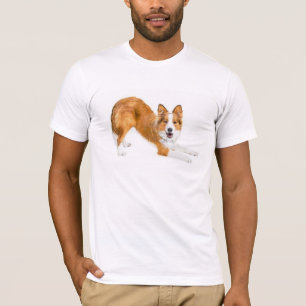 Camiseta Ouro Red~Tee de border collie