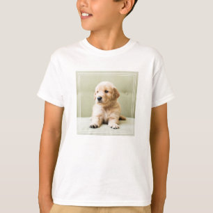 Camiseta Ouro Retirado no Sofá
