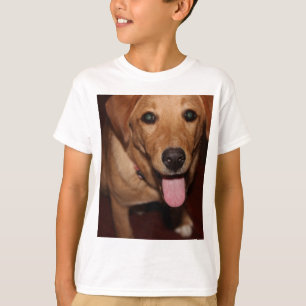 Camiseta Ouro Retriever Dog 5