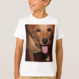 Camiseta Ouro Retriever Dog 5