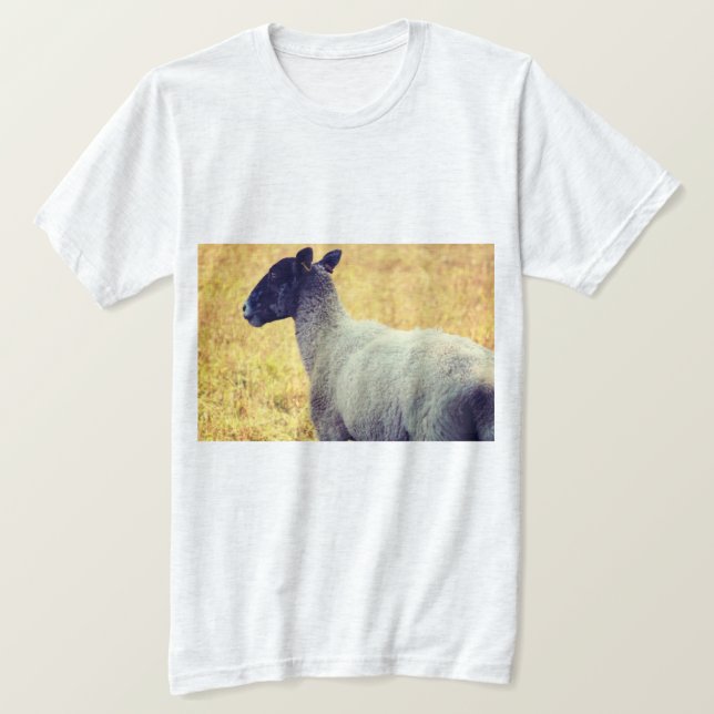 Camiseta Ovelhas (Frente do Design)