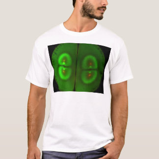 Camiseta Ovo fertilizado do sapo