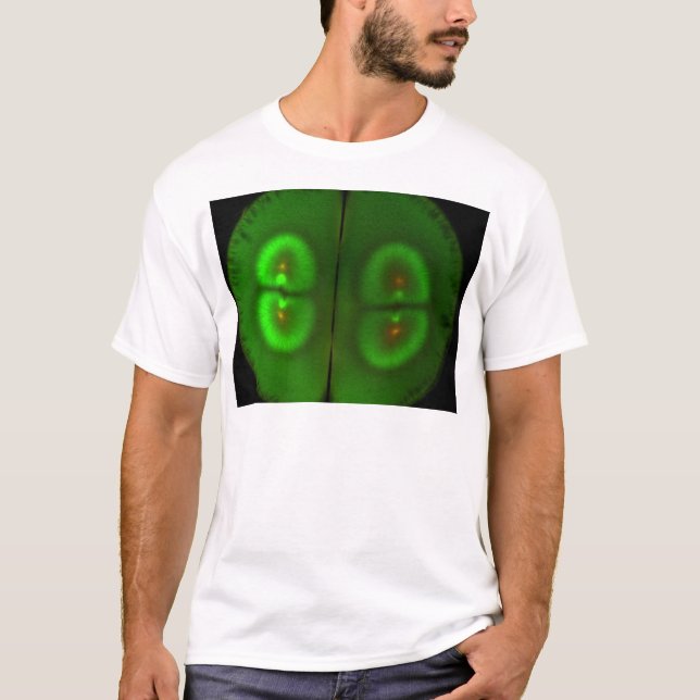 Camiseta Ovo fertilizado do sapo (Frente)