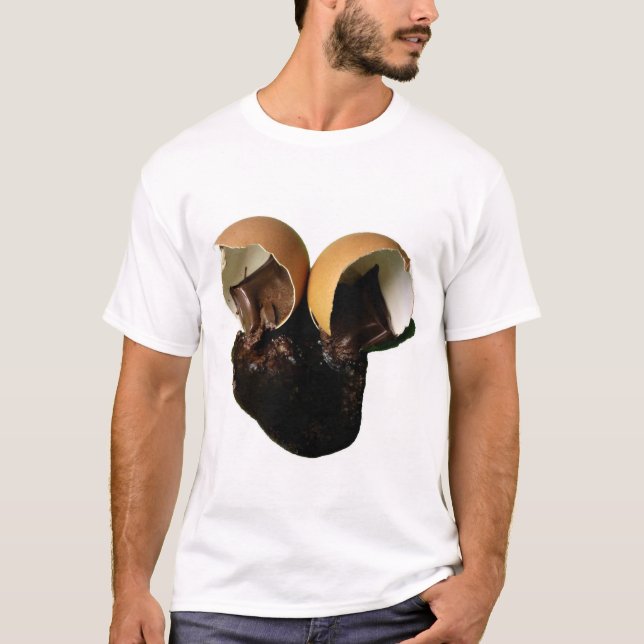 Camiseta Ovos de chocolate novidade (Frente)