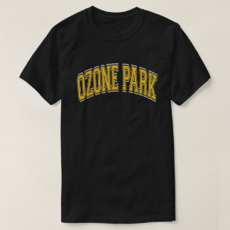 Camiseta Ozone Park Ny Queens Texto âmbar do estilo de dive