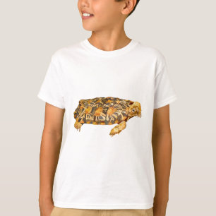 Camiseta P é para Pancake Tortoise