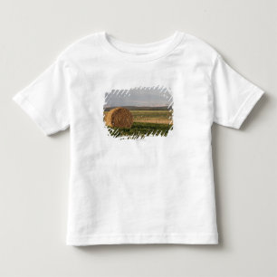 Camiseta Pacotes de feno em um campo com as montanhas no