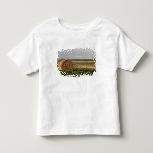 Camiseta Pacotes de feno em um campo com as montanhas no (Frente)