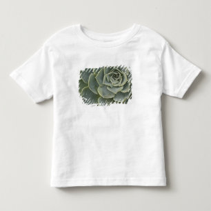 Camiseta Padrão de cacto