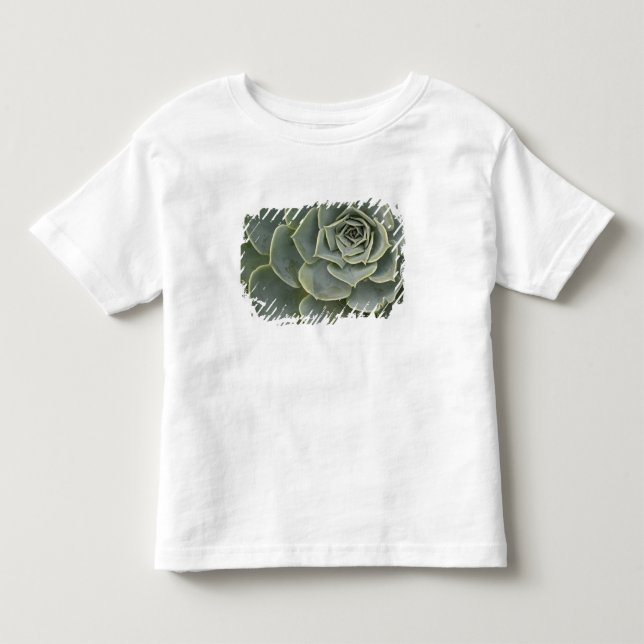 Camiseta Padrão de cacto (Frente)