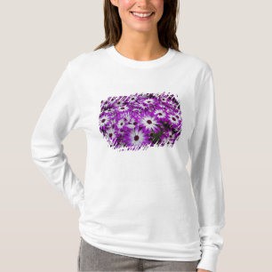 Camiseta Padrão de flores, Jardins Kuekenhof, Lisse,