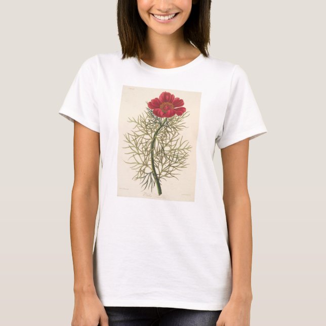 Camiseta Paeony com folhas fino (Frente)