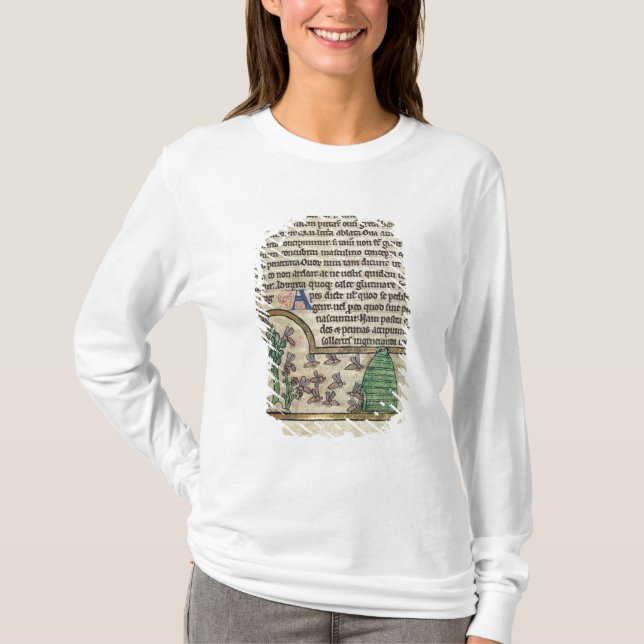 Camiseta Página de Roy do texto com ilustração de (Frente)