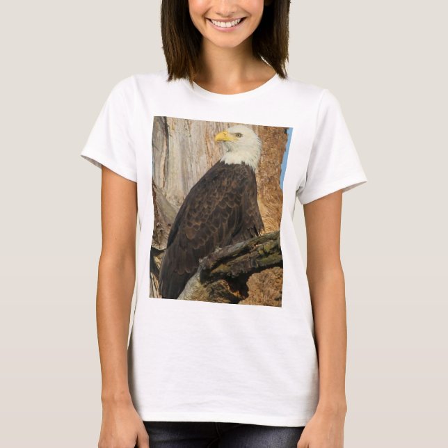 Camiseta Pai (aka) Mancrush (Frente)