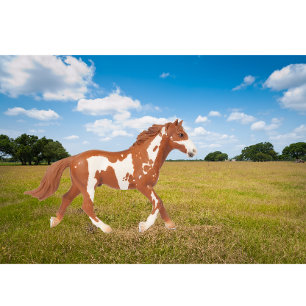 Camiseta Paint Horse Americano