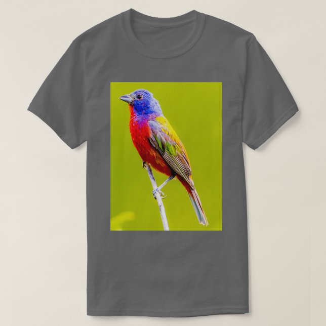 Camiseta Painted Bunting 1 (Frente do Design)