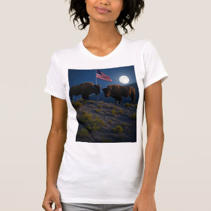 Camiseta país de Deus
