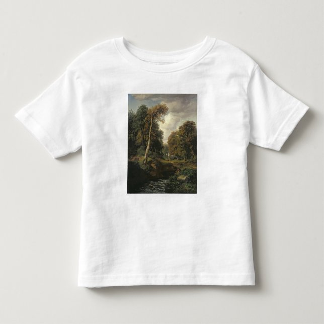 Camiseta Paisagem, 1850 (Frente)