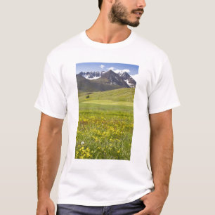 Camiseta Paisagem cênica do vale de Svarfadardalur