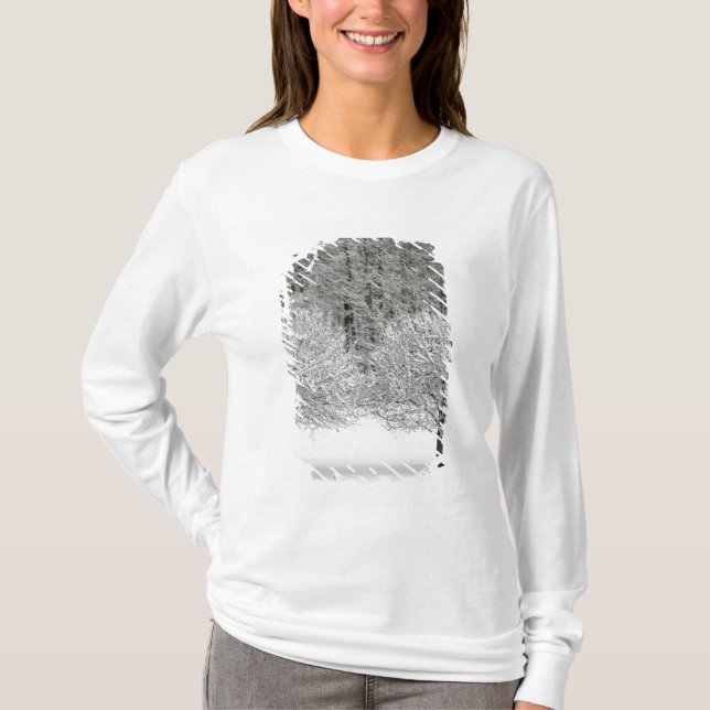 Camiseta Paisagem coberto de neve (Frente)