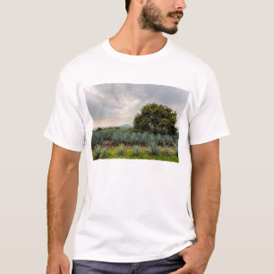 Camiseta Paisagem com agave azul