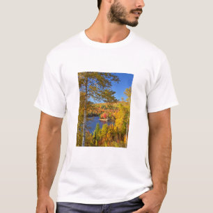 Camiseta Paisagem das árvores do outono, Maine