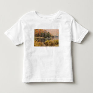 Camiseta Paisagem de outono com lago, Vermont, EUA 3