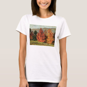 Camiseta Paisagem do outono, c.1903 (óleo em canvas)