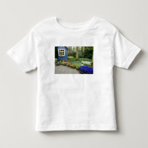Camiseta Países Baixos (também conhecido como Holanda), Lis