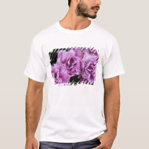 Camiseta Países Baixos (também conhecido como Holanda), Lis