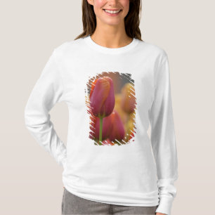 Camiseta Países Baixos (também conhecido como Holanda), Lis