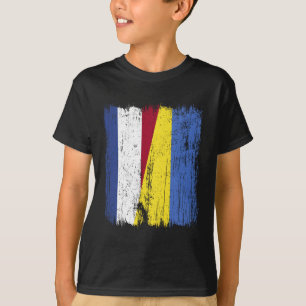 Camiseta Países Baixos Ucrânia Meia Bandeira Holandesa Ucra
