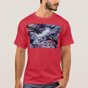 Camiseta Palangres de Ocellaris no Aquário do Tennessee